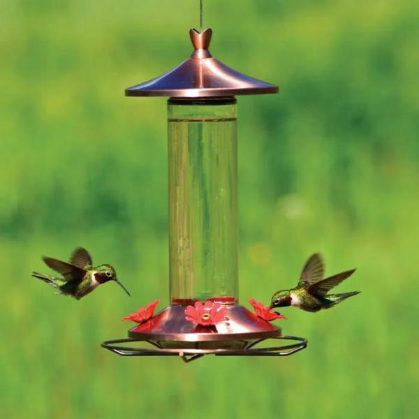 Hummingbird feeder with two hummingbirds in flight against a green background