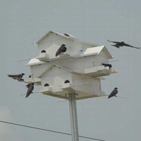 White birdhouse with multiple birds perched on it against a gray sky