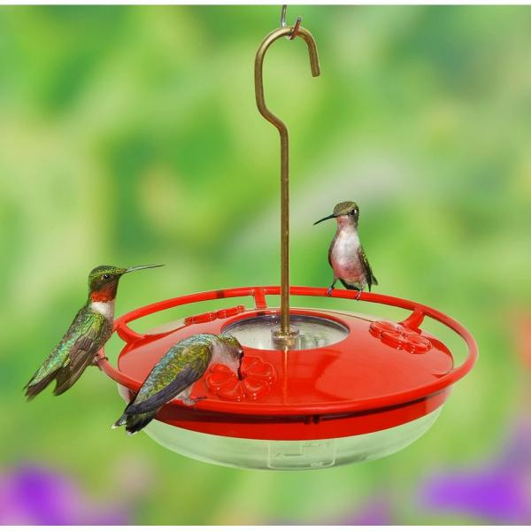 Red hummingbird feeder with three hummingbirds on a blurred green background