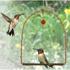 Two hummingbirds interacting with a hanging bird feeder in a garden setting.