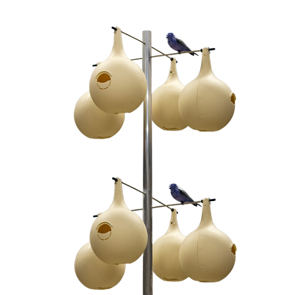 Complete Purple Martin Gourd Colony System