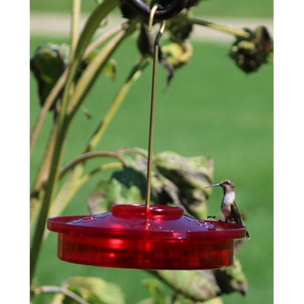 Red hummingbird feeder hanging from a branch with a hummingbird perched on it.