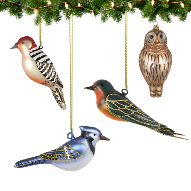 Set of bird-themed Christmas ornaments hanging from a branch with lights.