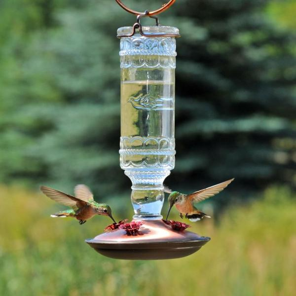 Hummingbird feeder with hummingbirds feeding on nectar in a garden setting