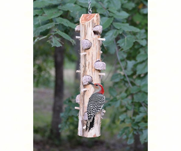 Woodpecker perched on a bird feeder designed like a tree branch with acorns.