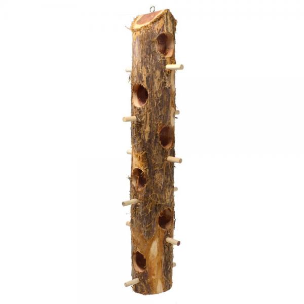 Wooden bird perch with holes on a white background
