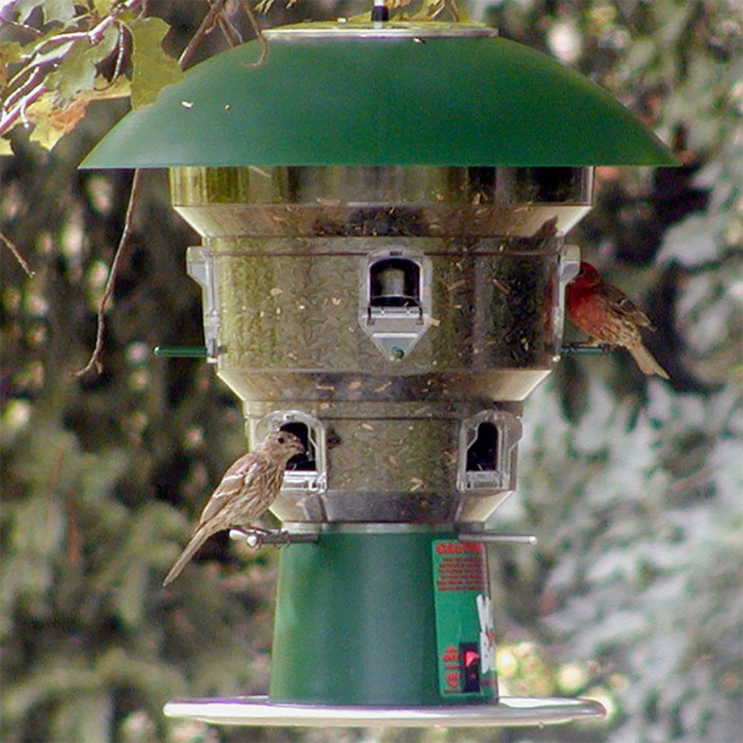 8-Port Wild Bill's Squirrel Proof Bird Feeder with advanced electronic technology to deter squirrels and attract more birds