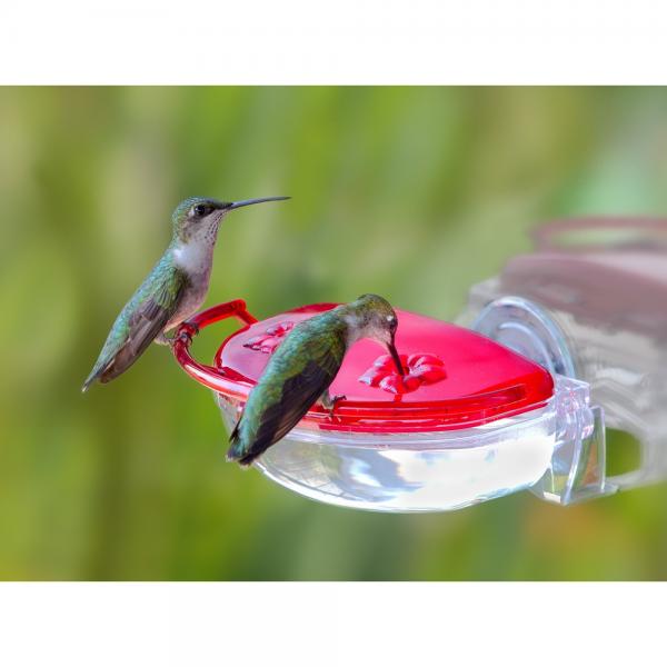 Two hummingbirds at a red hummingbird feeder with a blurred green background