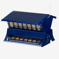 Absolute II Double Sided Bird Feeder in Electric Blue, featuring a durable, squirrel-resistant design for hassle-free birdwatching