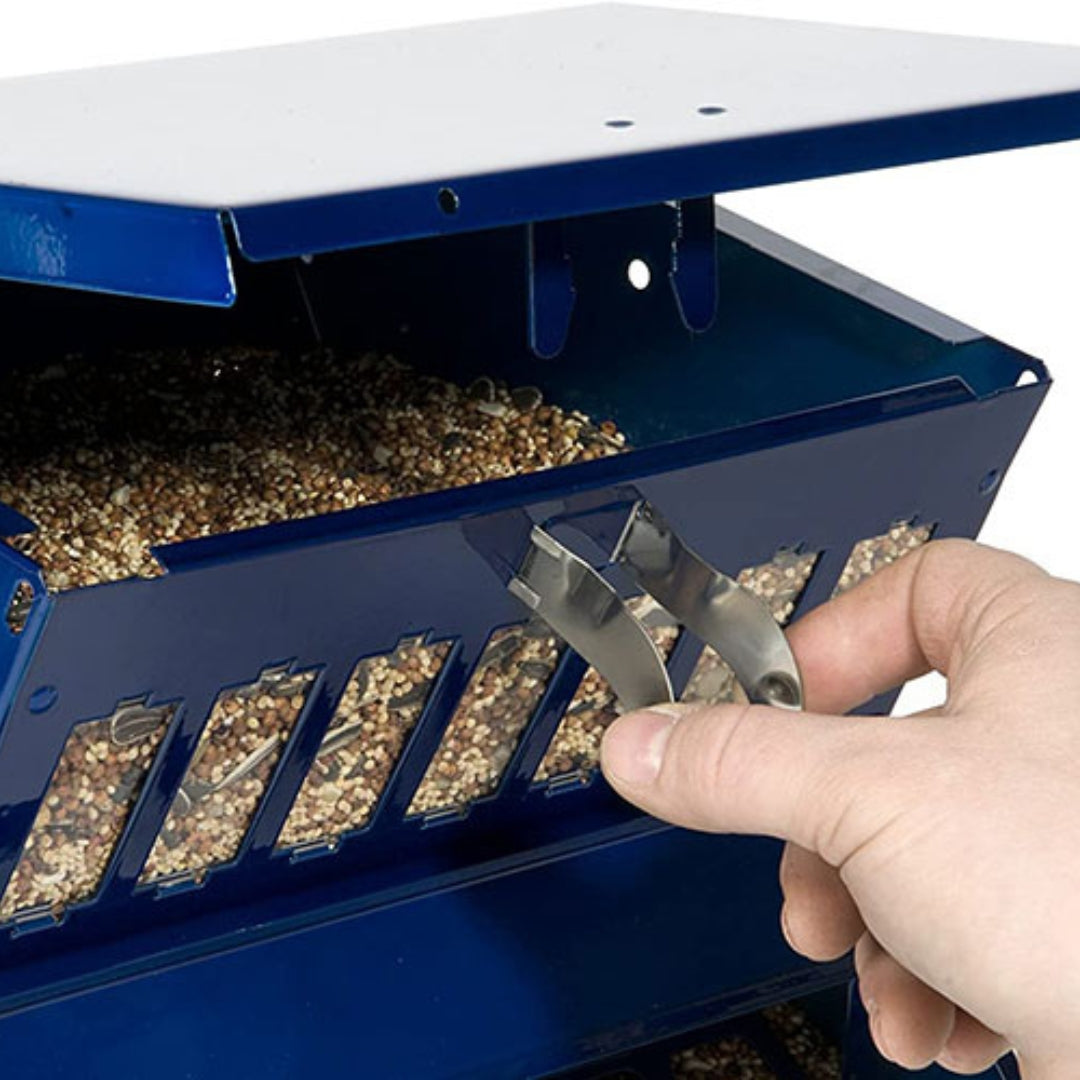 Absolute II Double Sided Bird Feeder in Electric Blue, featuring a durable, squirrel-resistant design for hassle-free birdwatching