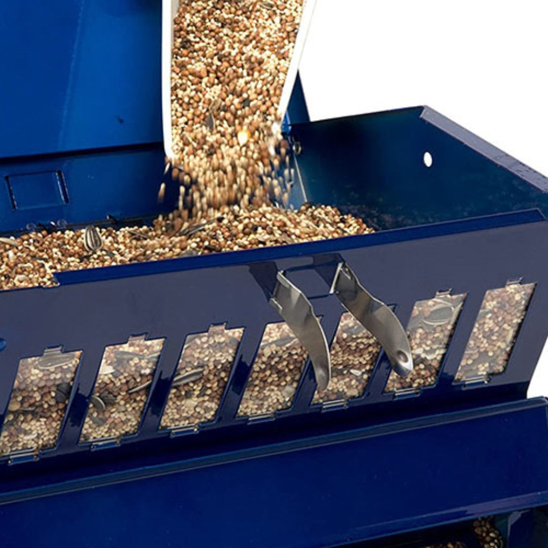 Absolute II Double Sided Bird Feeder in Electric Blue, featuring a durable, squirrel-resistant design for hassle-free birdwatching