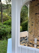 Bird feeder with seeds and a blurred green outdoor background