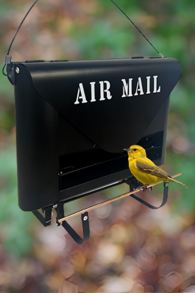 Air Mail Squirrel Resistant Bird Feeder