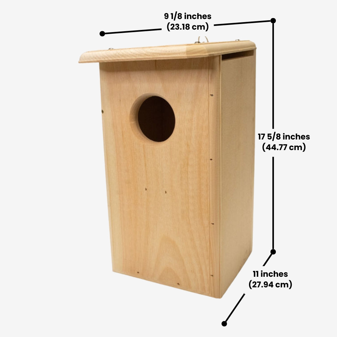 Coveside premium nesting box on a tree, crafted from durable cedar to attract screech owls and kestrels, providing a secure and weatherproof wildlife shelter.