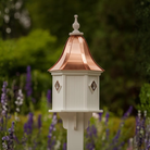 Decorative white birdhouse with a bell shaped copper roof in a garden setting