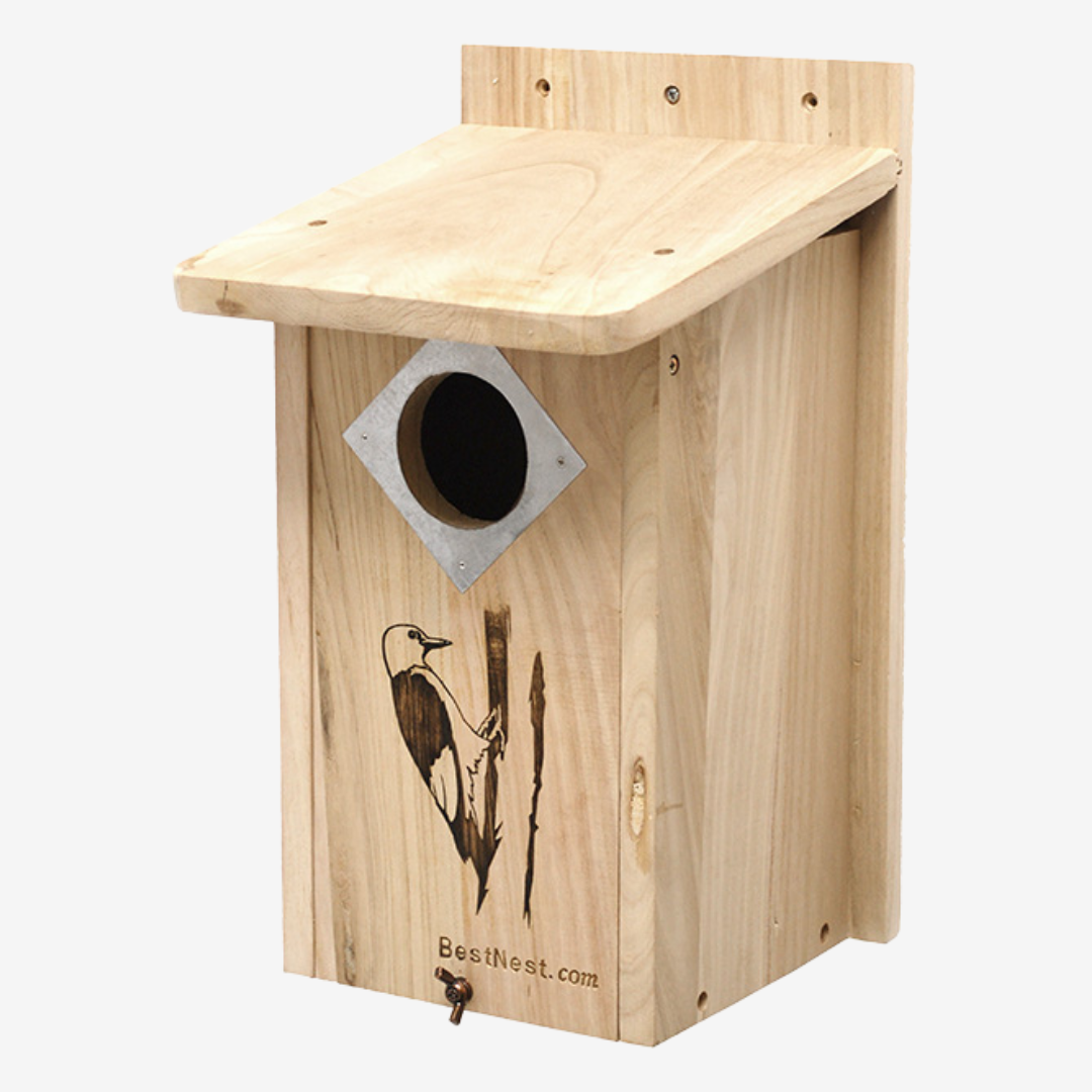BestNest classic woodpecker house with multiple entry holes, perfect for three woodpecker species