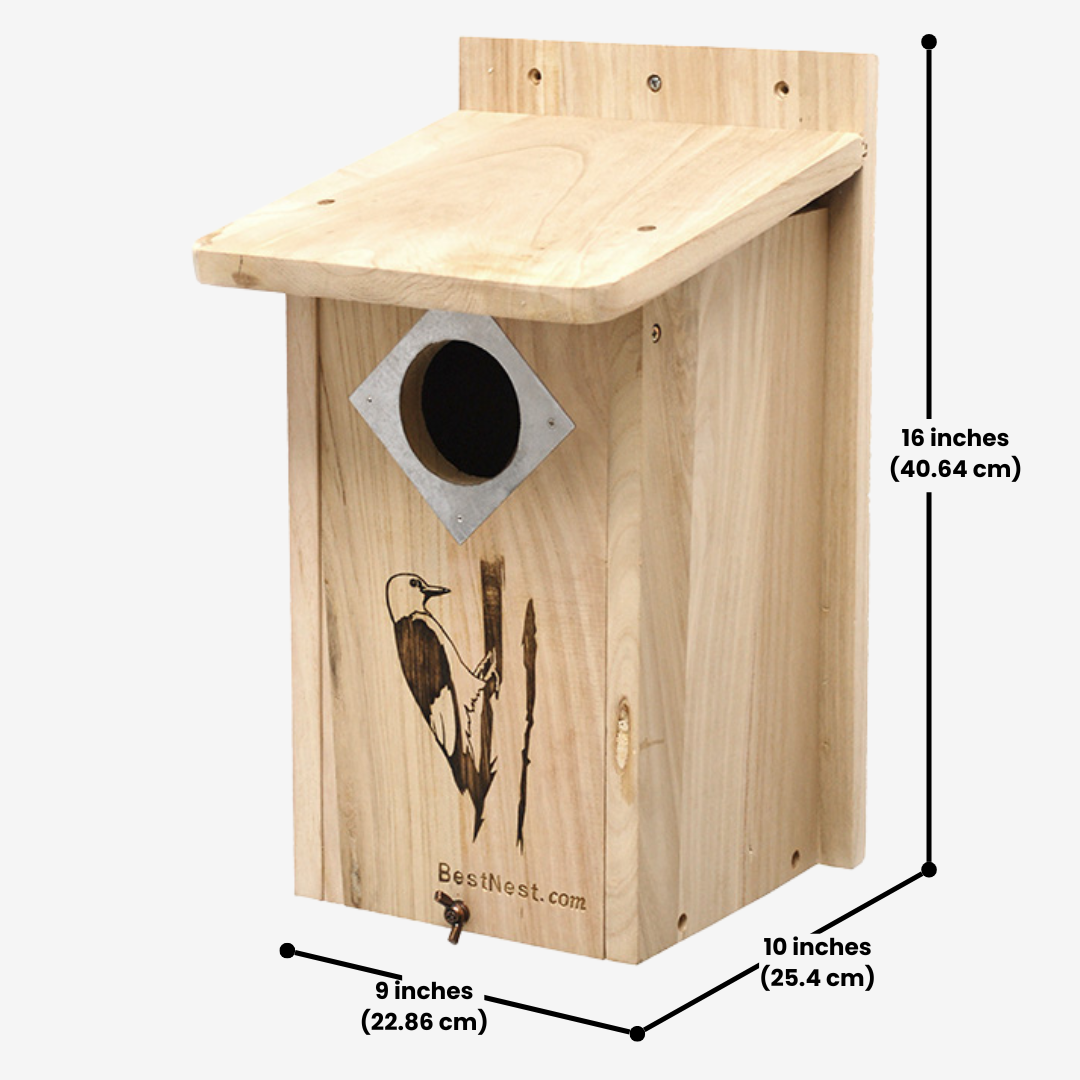 BestNest classic woodpecker house with multiple entry holes, perfect for three woodpecker species