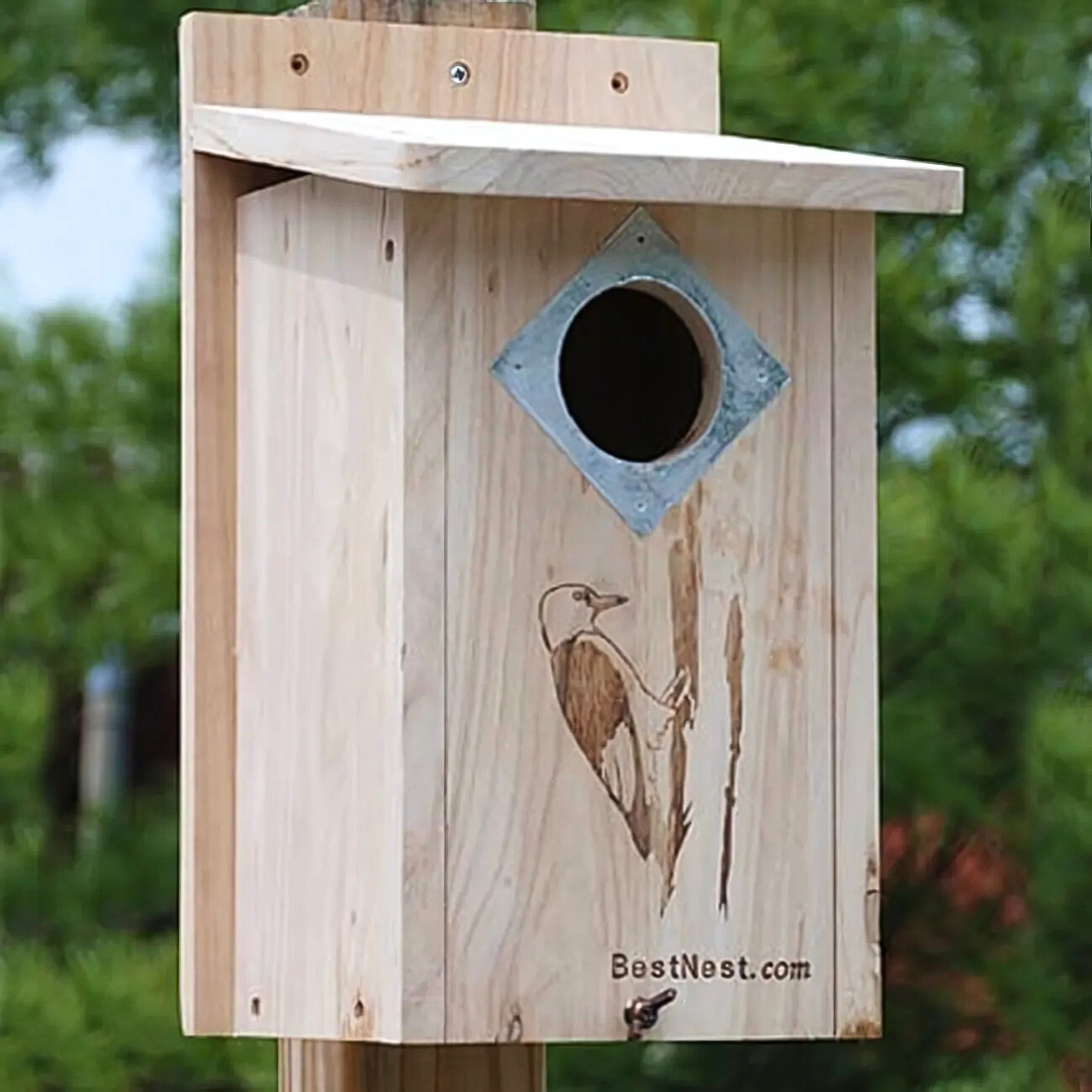 BestNest classic woodpecker house with multiple entry holes, perfect for three woodpecker species