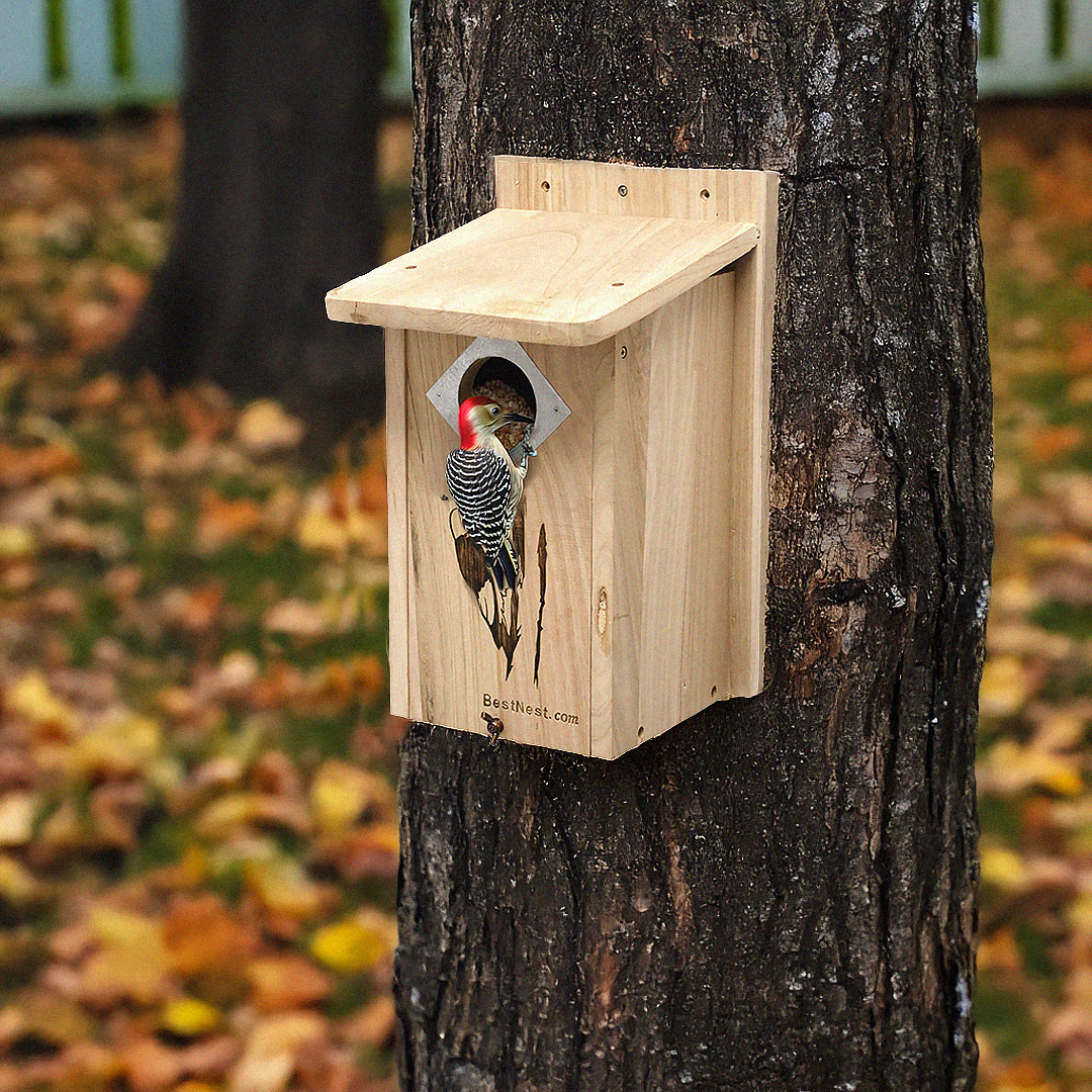 BestNest classic woodpecker house with multiple entry holes, perfect for three woodpecker species