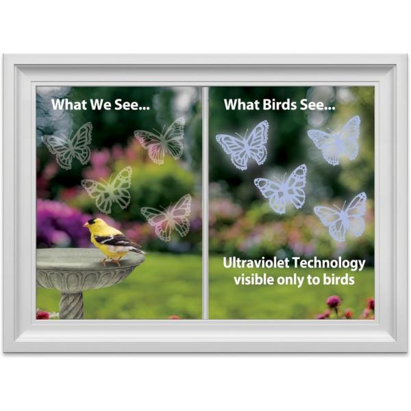 Comparison of what humans and birds see with ultraviolet technology, featuring butterflies and a bird at a birdbath.