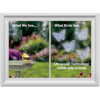 Comparison of what humans and birds see with ultraviolet technology, featuring butterflies and a bird at a birdbath.