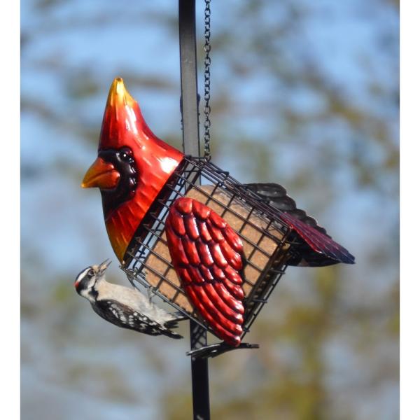 Cardinal-shaped bird feeder with a blurred natural background