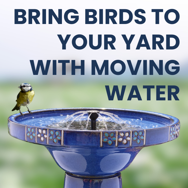 Cobalt Bloom Solar Birdbath