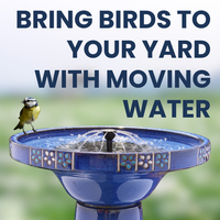 Cobalt Bloom Solar Birdbath