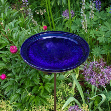 The cobalt glass birdbath with solar-powered fountain creating a shimmering effect, placed among flowers in a vibrant garden setting, attracting birds.