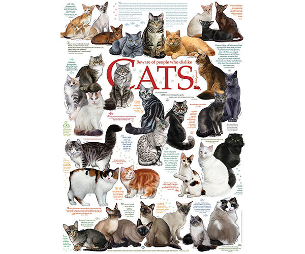Poster with various cats and humorous text on a white background