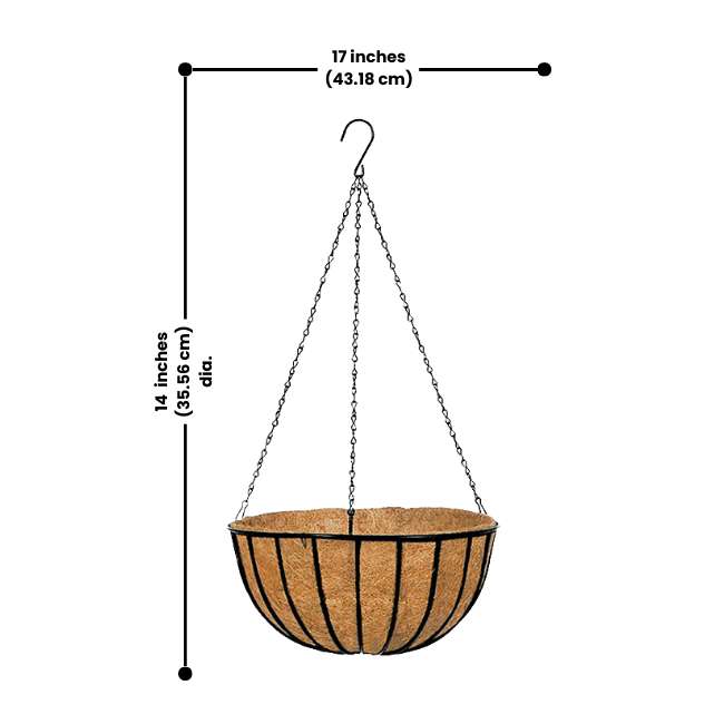 Coco Liner Hanging Planter with measurement for precise installation, ideal for flowers and greenery.