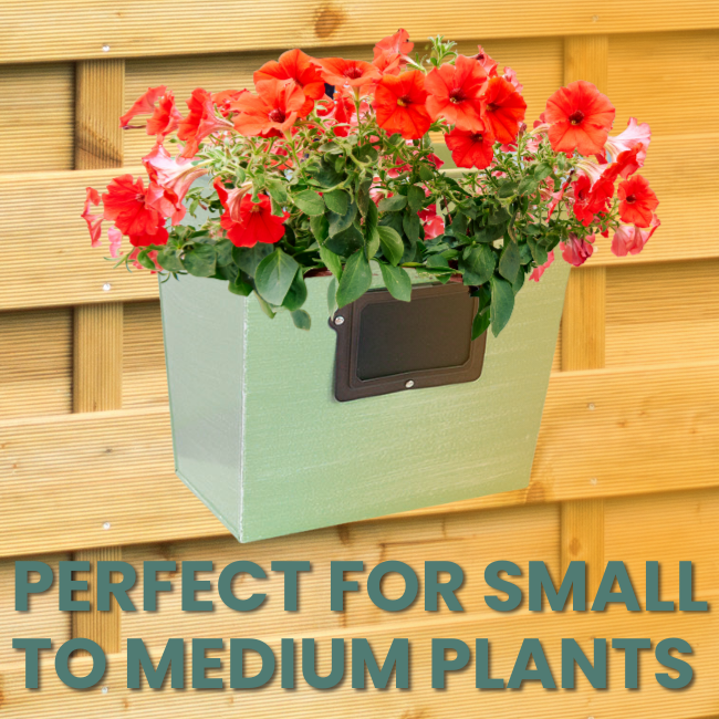 A ColorPop Garden Wall Planter in light green with vibrant red petunias, perfect for small to medium plants with a charming chalkboard label.