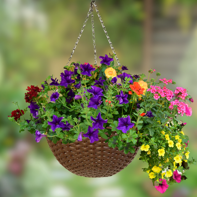 Colorful hanging flower basket with mixed flowers, perfect for garden décor