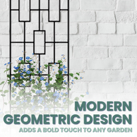 The Contemporary Plant Climber Trellis with a modern geometric design, black finish, and blue flowering vines growing along its frame.

