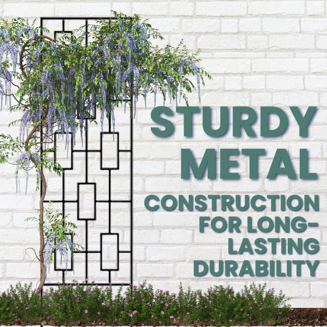 The Contemporary Plant Climber Trellis with a modern geometric frame, supporting lush wisteria vines and adding architectural elegance to the garden.