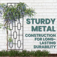 The Contemporary Plant Climber Trellis with a modern geometric frame, supporting lush wisteria vines and adding architectural elegance to the garden.