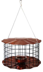 Copper Bird Feeder Bluebirds