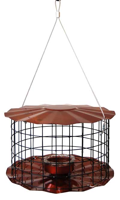 Copper Bird Feeder Bluebirds