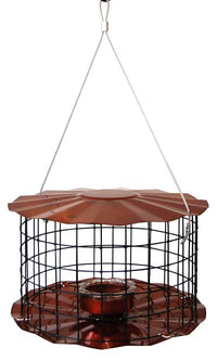 Copper Bird Feeder Bluebirds