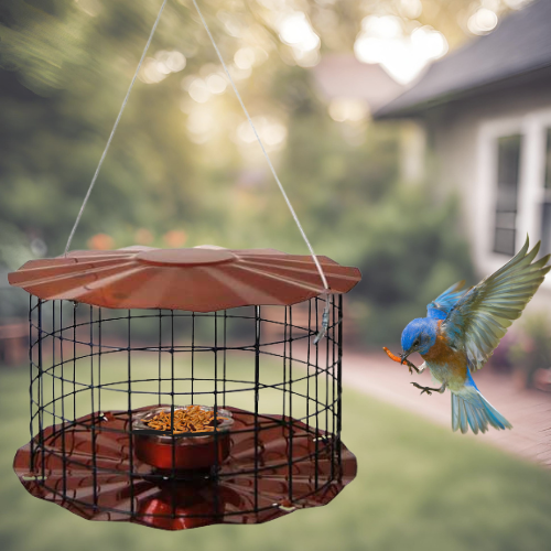 Copper Caged Bluebird Feeder for Mealworms
