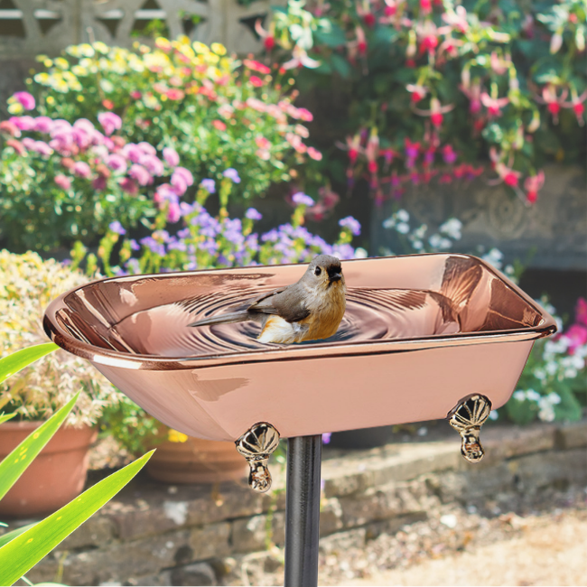 Shimmering copper birdbath that ages beautifully over time. Its versatile design allows it to be used as either a birdbath or feeder, attracting a variety of feathered visitors to your garden
