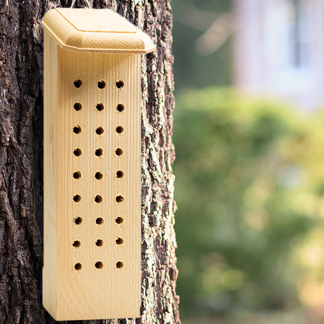 Wooden bee house attached to a tree trunk with a blurred natural background