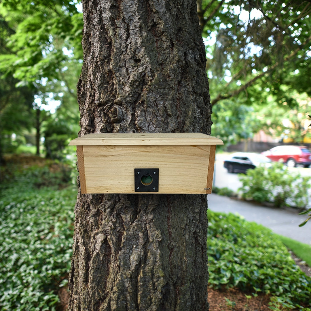 Coveside winter roost with horizontal design, offering birds warmth and protection.