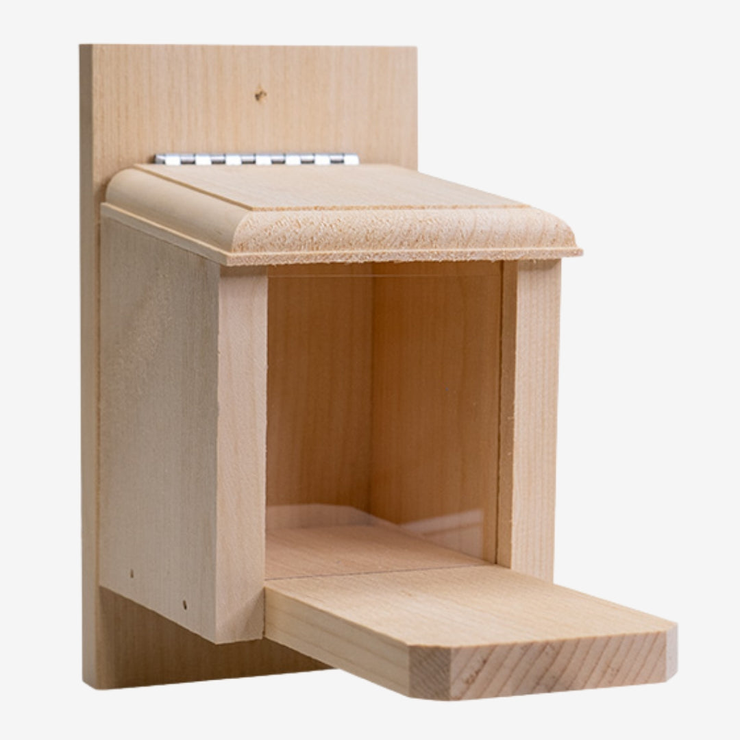 Coveside Peanut Feeder for Squirrels – A durable wooden box that provides a reliable food source for squirrels and wildlife.