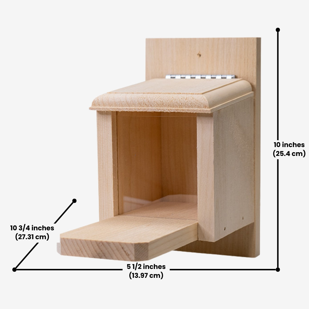 Coveside Peanut Feeder for Squirrels – A durable wooden box that provides a reliable food source for squirrels and wildlife.