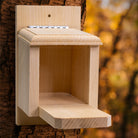 Coveside Peanut Feeder for Squirrels – A durable wooden box that provides a reliable food source for squirrels and wildlife.