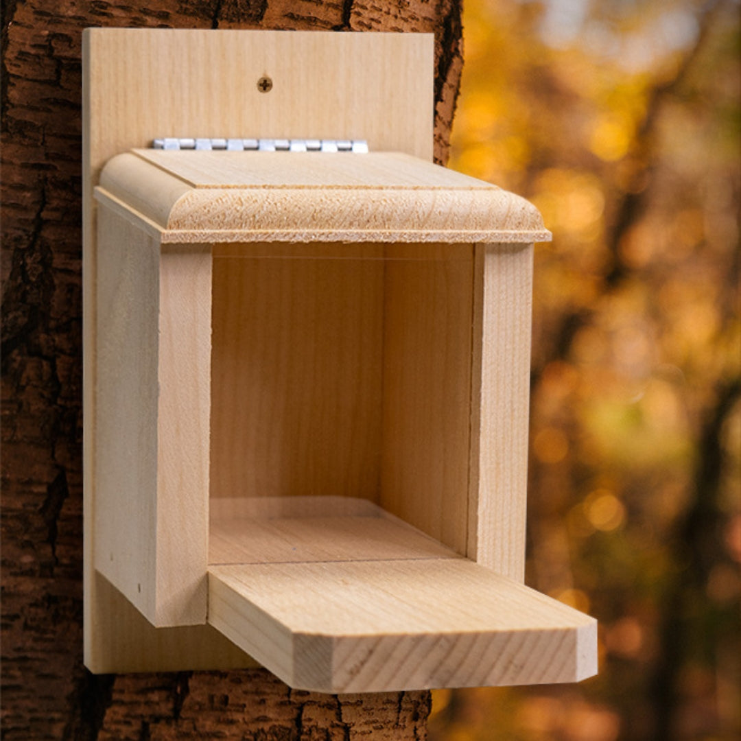 Coveside Peanut Feeder for Squirrels – A durable wooden box that provides a reliable food source for squirrels and wildlife.