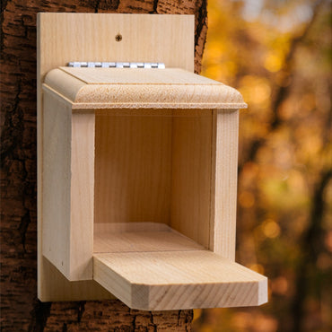 Coveside Peanut Feeder for Squirrels – A durable wooden box that provides a reliable food source for squirrels and wildlife.
