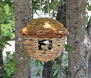 Bird perched inside a woven birdhouse hanging from a tree