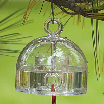 Clear glass bell hanging from a branch with a green background